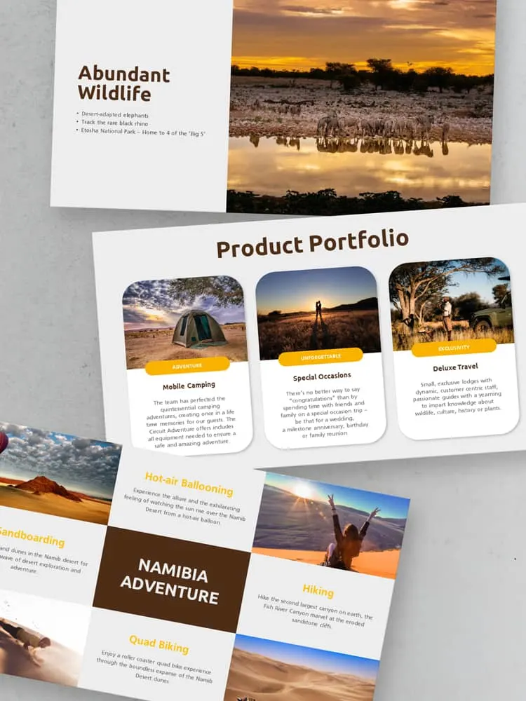 Examples of the slides from Sense of Africa's PowerPoint presentation